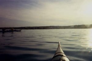 008_17a[2].jpg