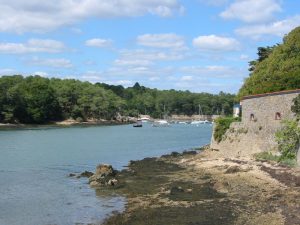 golfe_(passage_de_conleau__sene)_011.jpg