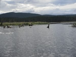 dscf0120.jpg