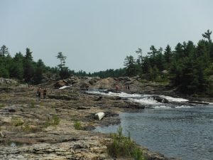 dscf0677.jpg