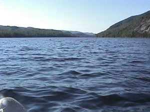 lac_ha!_ha!006.jpg
